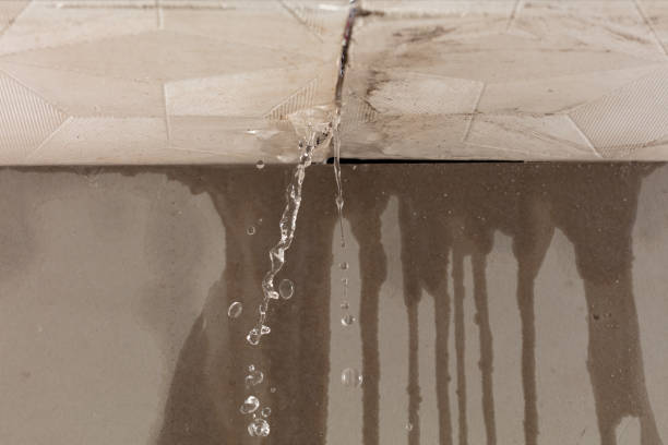 Professional Structural Drying technician working in Highland Park, MI